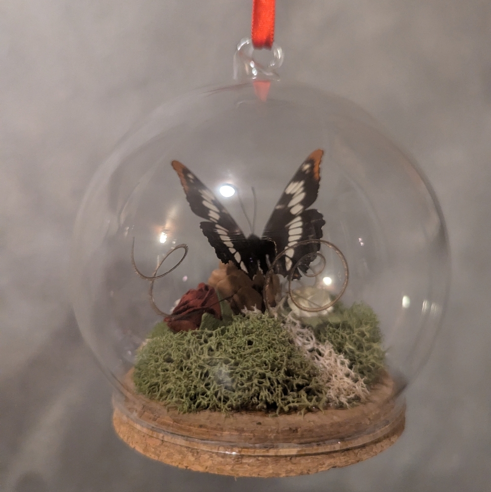Real Butterfly